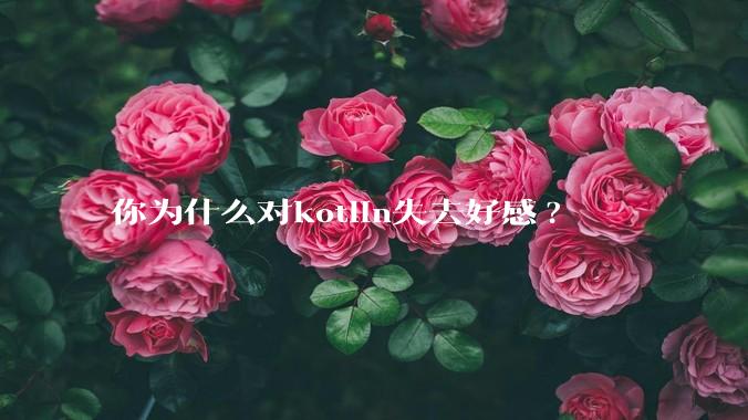 你为什么对kotlin失去好感?